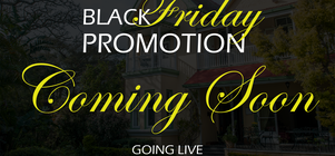 Black Friday Promotion