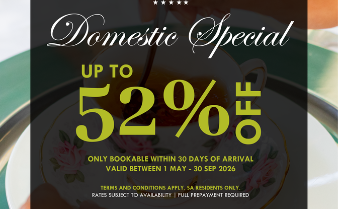 South African Domestic Promotion