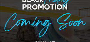 Black Friday Promotion