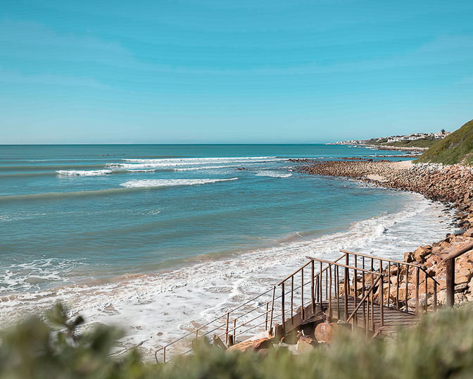 Sun and Sea Seeking