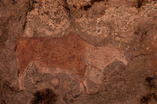 Bushman Paintings at the cave