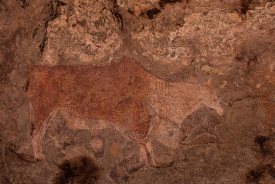 Bushman Paintings at the cave Bushman Paintings at the cave