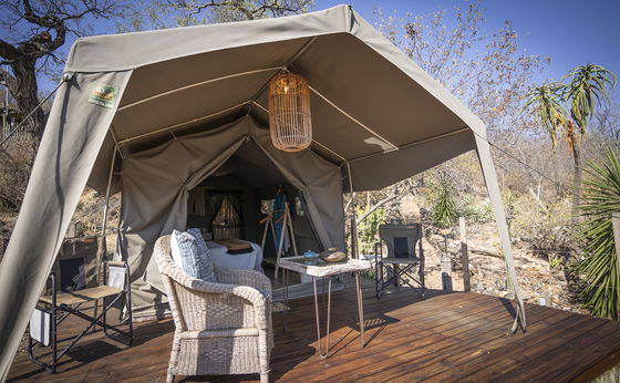 Comfy Bush Tent