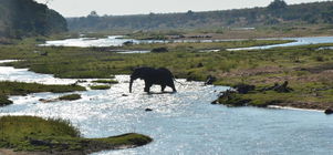 Ten Days. One Lodge. Everything Africa.