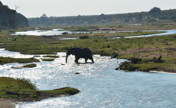 Ten Days. One Lodge. Everything Africa.