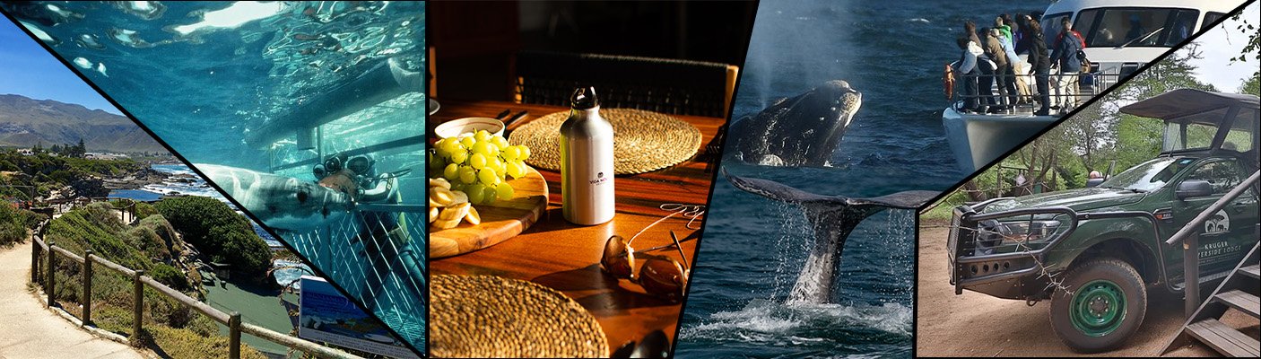 Hermanus attractions