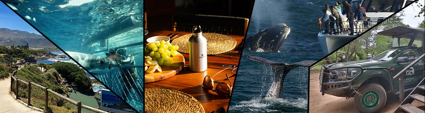 Hermanus attractions