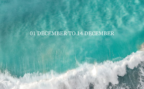 Early December getaway Special.