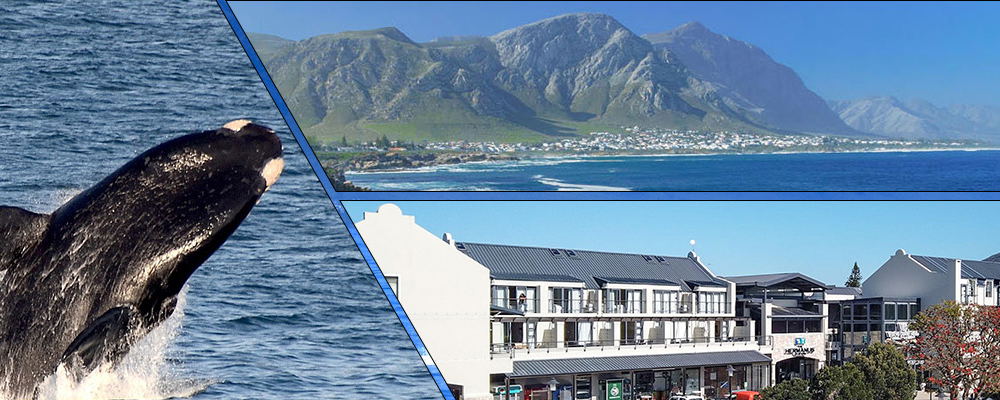 Whale Coast Hotel