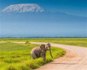 12 Days Kenya Classic Safari