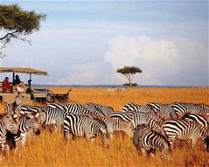 4 Days Flying Maasai Mara Safari