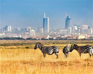 3 Days Nairobi National Park Safari