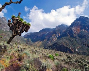 10 Days Rwenzori Mountain Climbing Safari Uganda