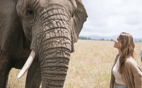 Knysna Elephant Park 