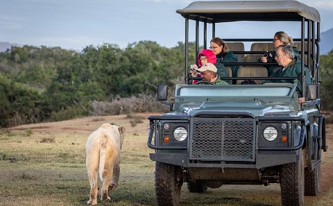 Pumba Private Game Reserve 