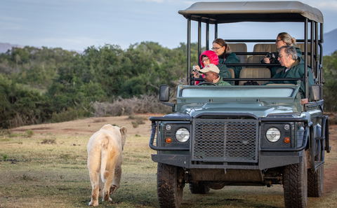 Pumba Private Game Reserve