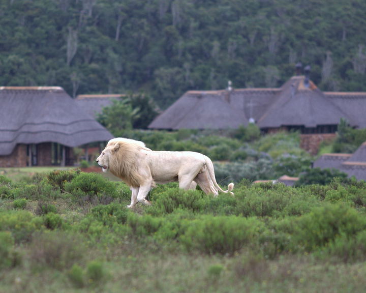 Pumba Private Game Reserve and Spa