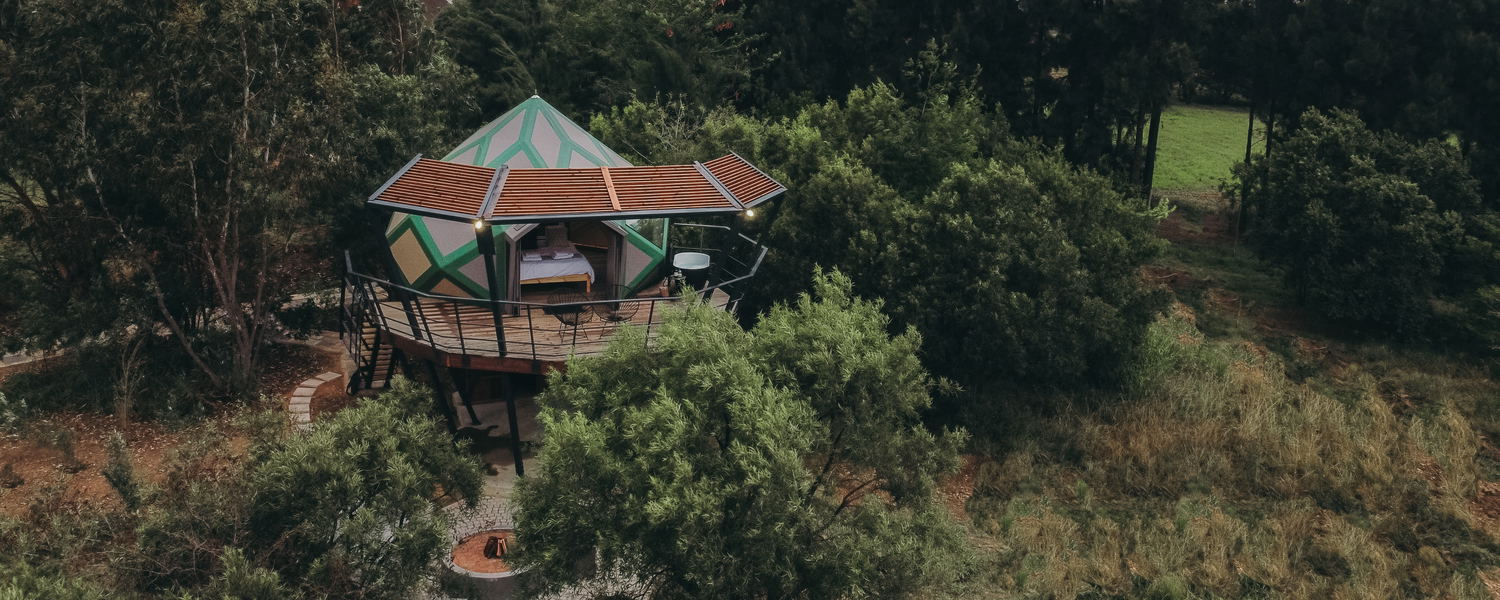 The Cove