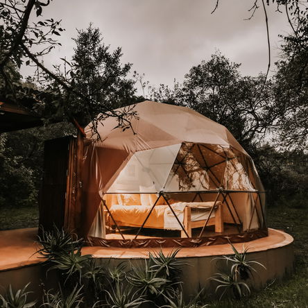 Katrinasrust - Machadadorp