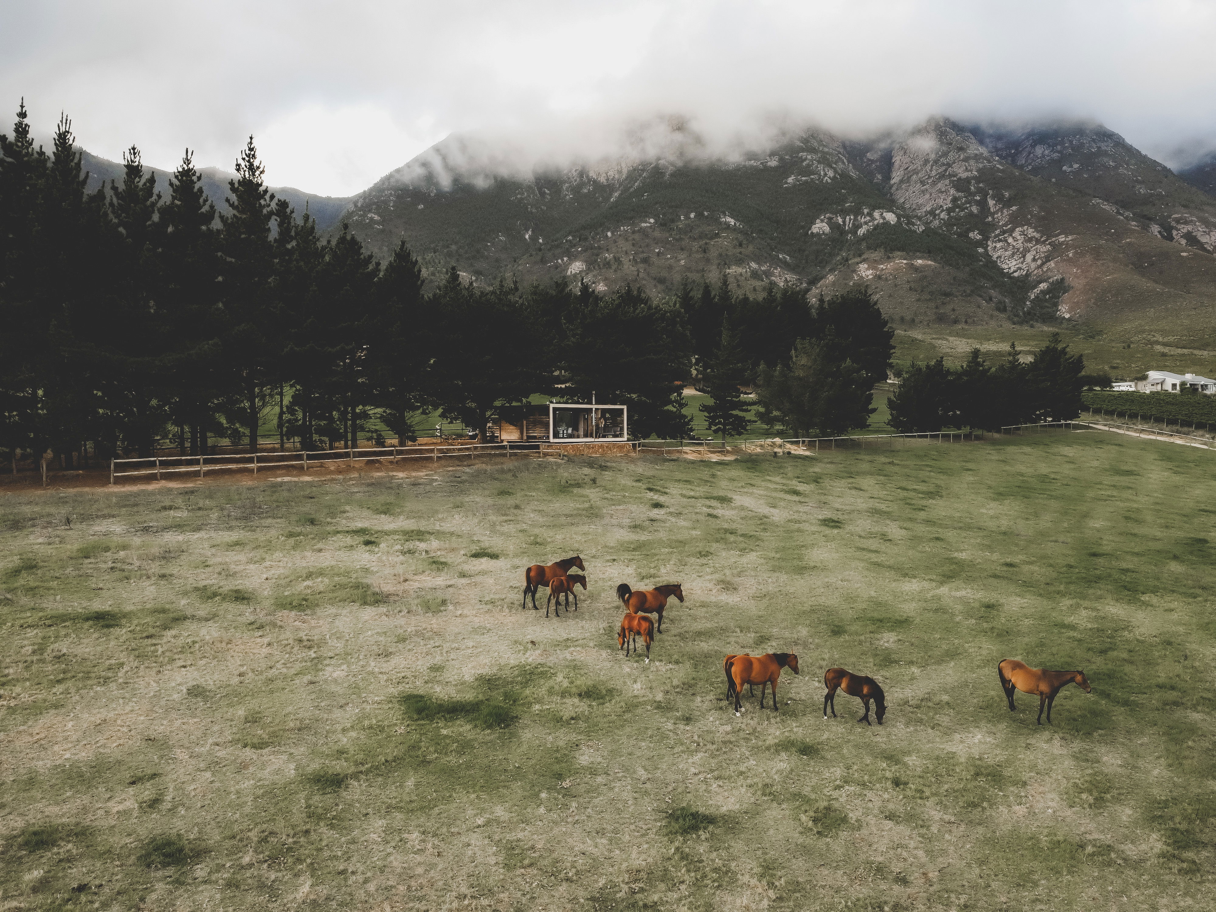 Hemel 'N Aarde Stud