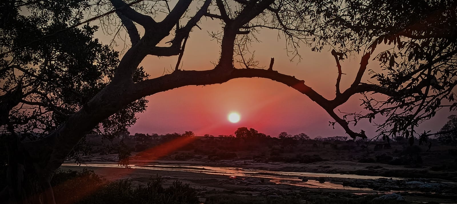 experience the beauty of the bush at dusk through our Sunset Safari Drives at Kruger Riverside Lodge