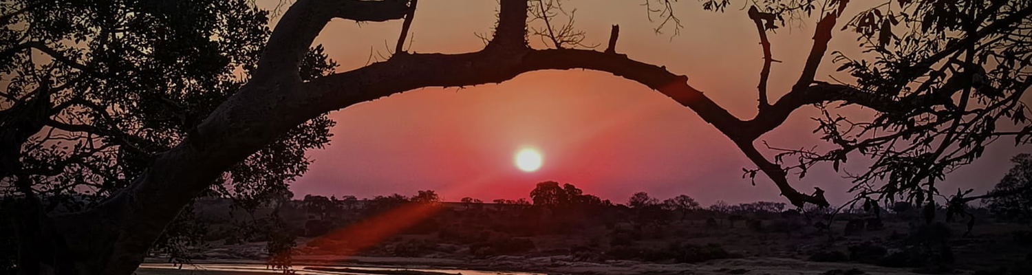experience the beauty of the bush at dusk through our Sunset Safari Drives at Kruger Riverside Lodge