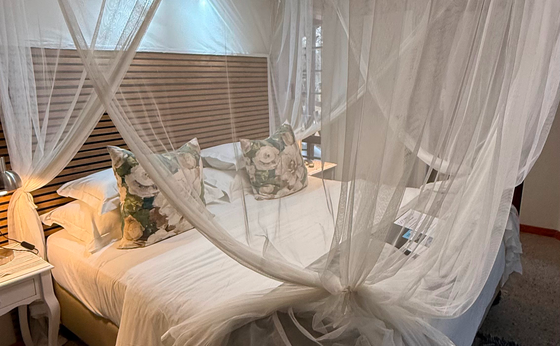 Luxury Penthouse Suite