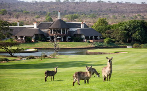 The beautiful and well cared for Leopard Creek Golf Estate, Mpumalanga, DCC Hotel Group