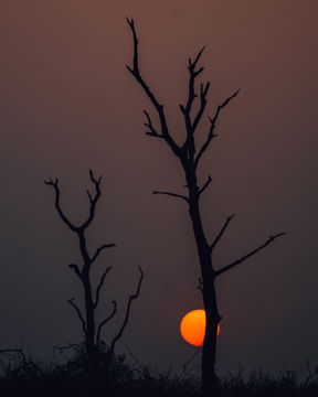 Sunset. Kruger Park Open Vehicle Safaris, Marloth Park. DCC Hotel Group