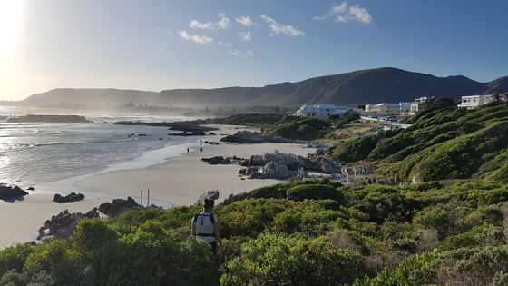View of the beach from Cliff Path, Hermanus, Lodge on the Green, Beachfront Lodge, DCC Hotel Group
