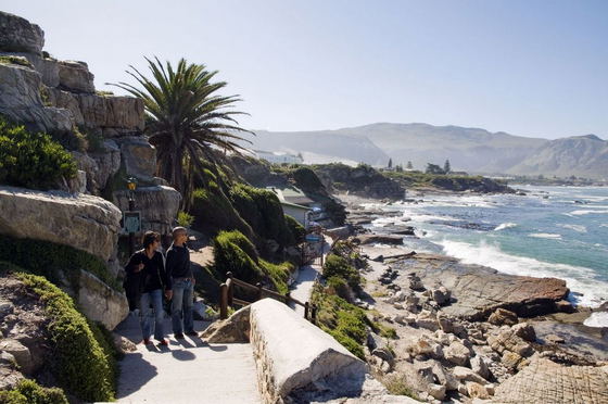 Foot Path, Hermanus, Lodge on the Green, Beachfront Lodge, DCC Hotel Group