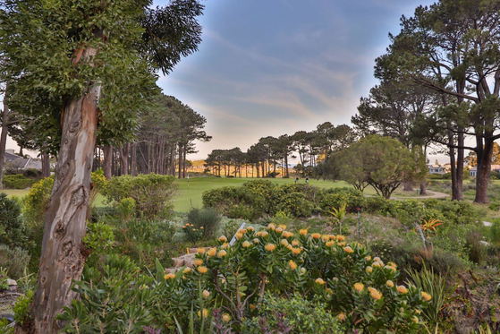 Nature filled Green, Hermanus, Lodge on the Green, Beachfront Lodge, DCC Hotel Group