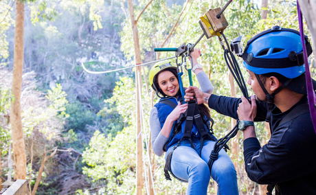 Hermanus Ziplining, DCC Hotel Collection 1