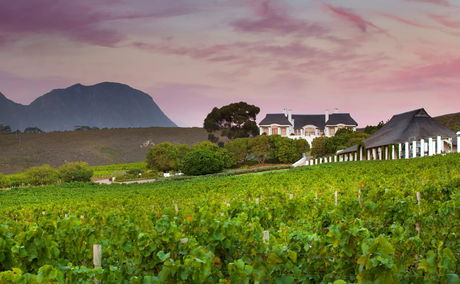 Wine Valley, Hermanus, DCC Hotel Collection 1