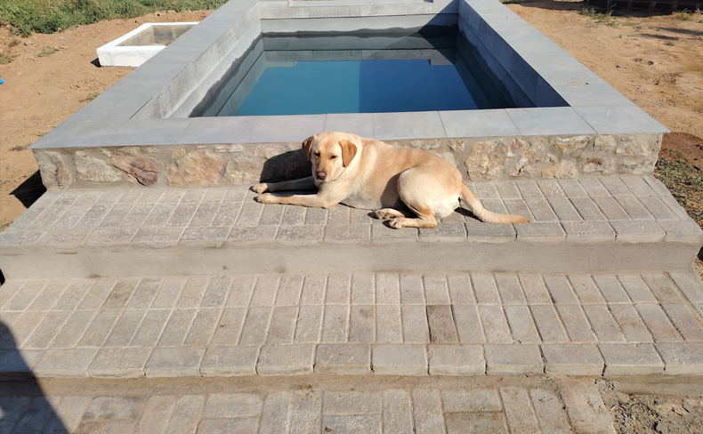 Plaashuis pool Plaashuis pool