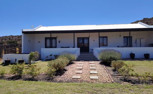 December Holiday Special