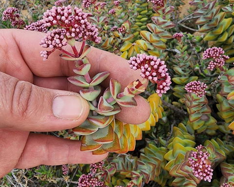 Connect with Nature