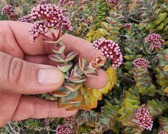 Connect with Nature
