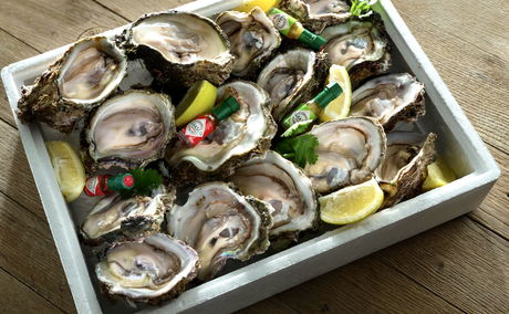 34 South Restaurant, Knysna, oysters 34 South Restaurant, Knysna, oysters