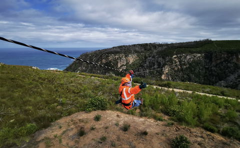 Knysna ziplines