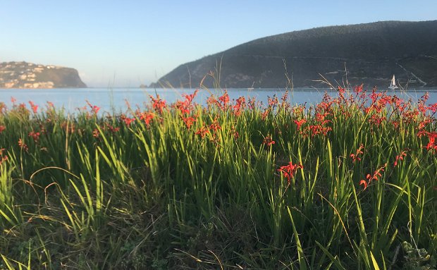 Knysna Heads