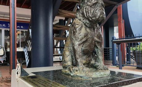 Bondi of HMS Verbena - dog statue, The Waterfront, Knysna
