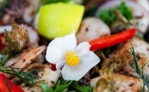 Calamari Salad