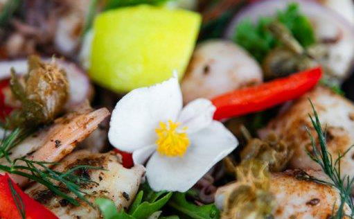 Calamari Salad