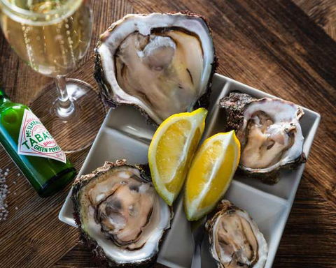 Knyna Oysters