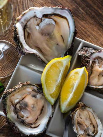 Knyna Oysters