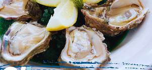 Oyster Promotion