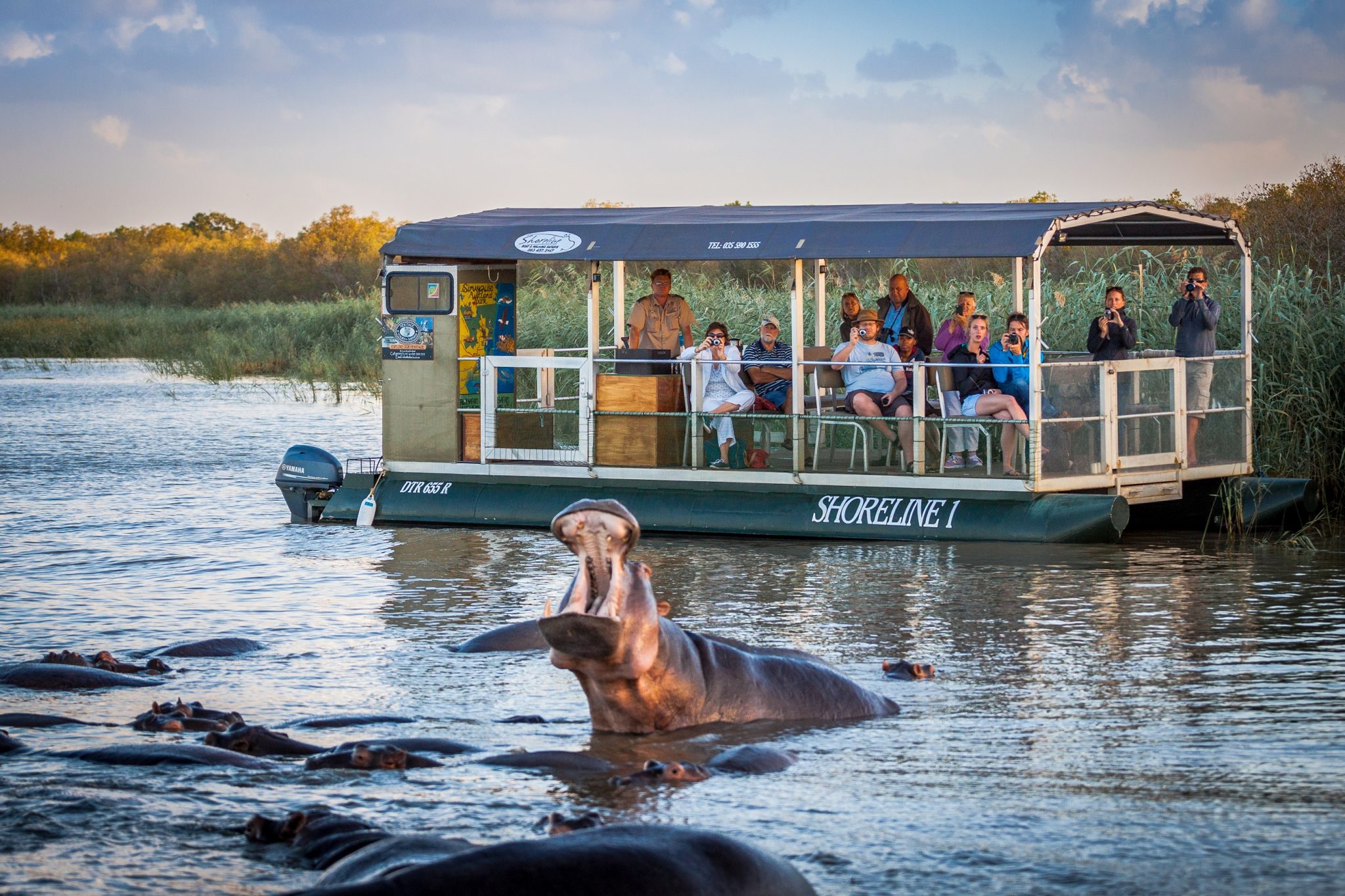 Wildlife, water, and unforgettable moments on safari.