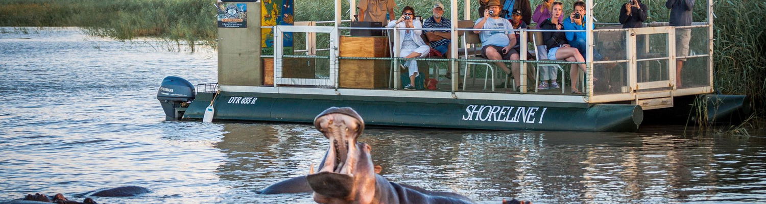 Wildlife, water, and unforgettable moments on safari.