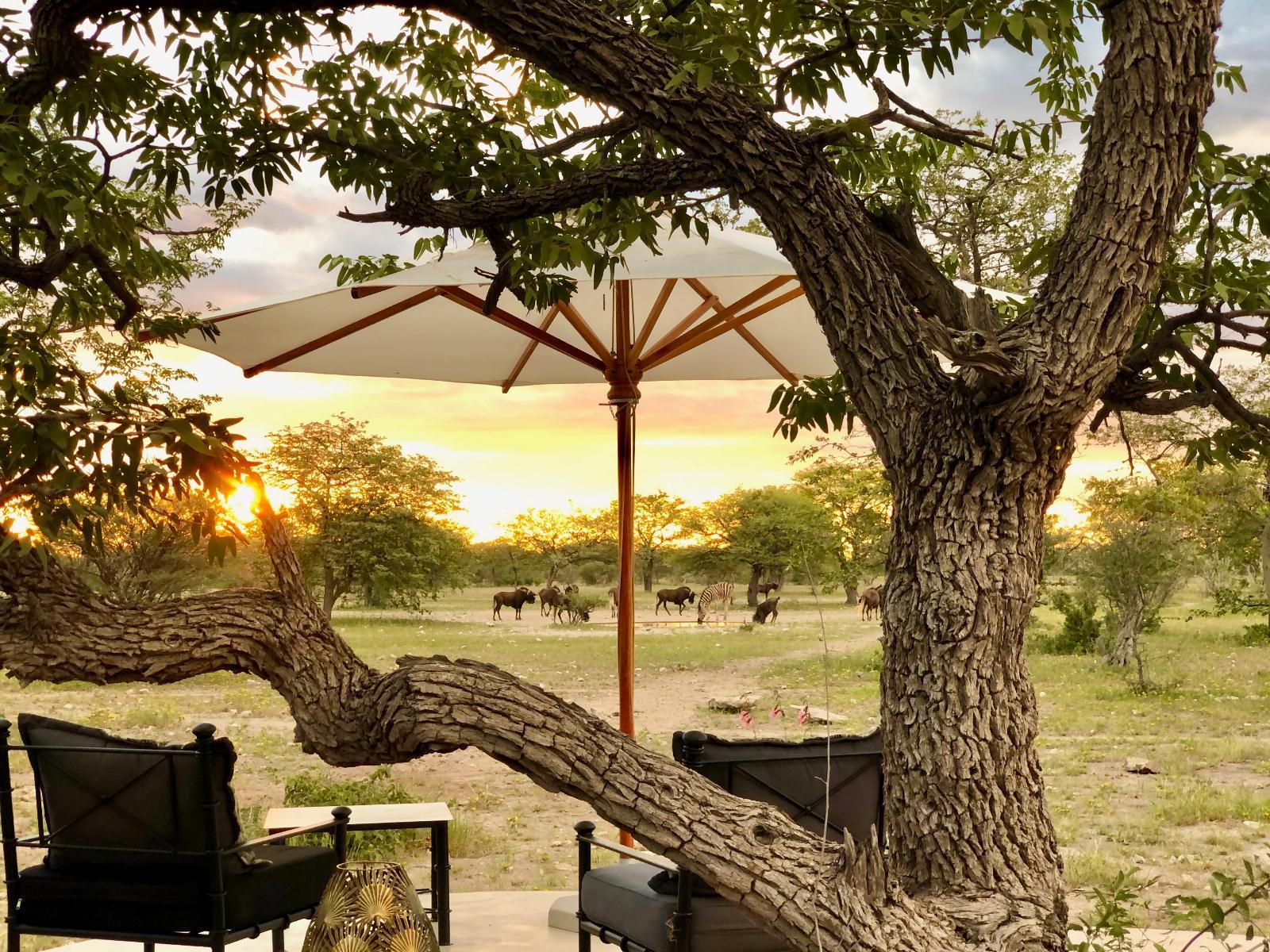 Etosha Oberland Lodge, Ombika, Namibia, DCC Hotel Collection 1